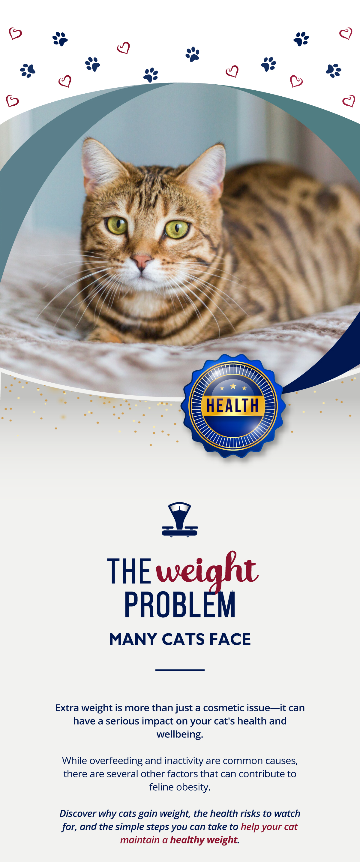 Extra weight is more than just a cosmetic issue�it can have a serious impact on your cat's health and wellbeing.