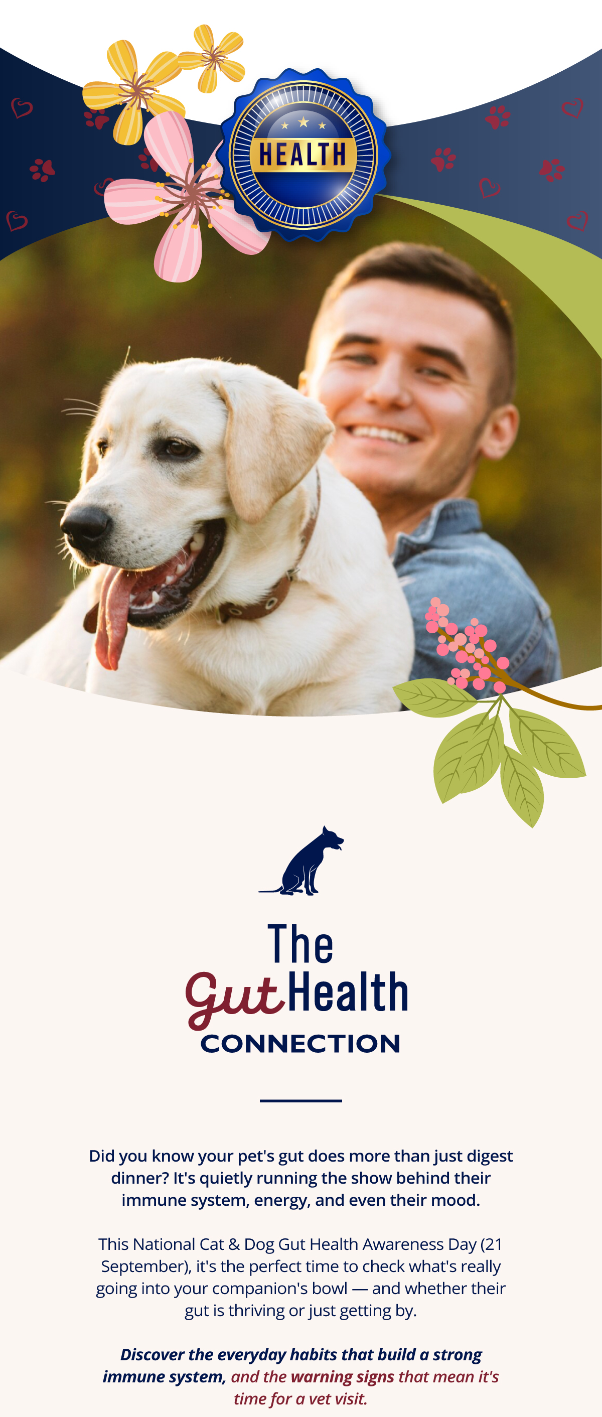 The Gut Health connection