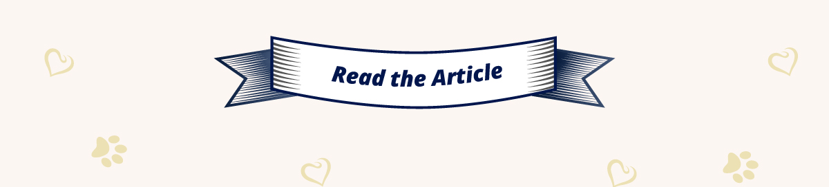 Read the Article