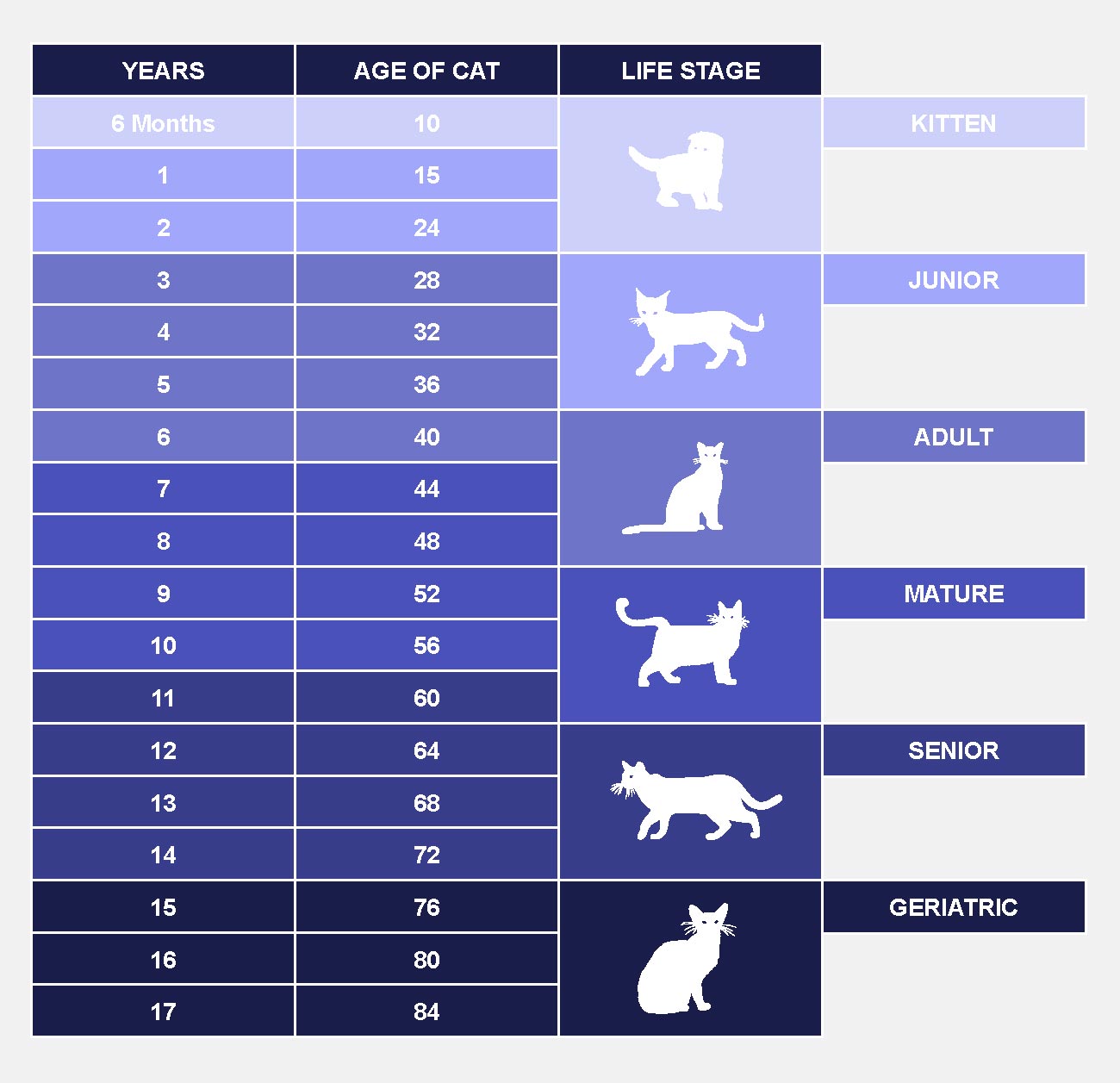 How old is your cat in human years